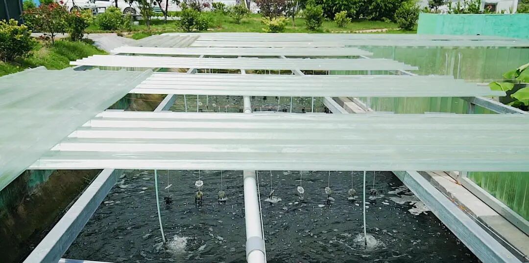 雨水通过明渠统一收集,留作灌溉、保洁用。王西辉摄