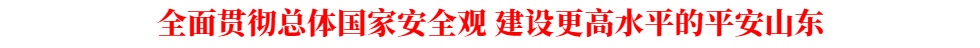 全面贯彻总体国家安全观 建设更高水平的平安山东