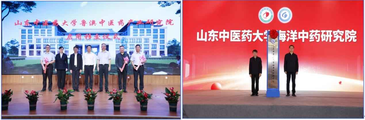 机制破局 产教融链——山东中医药大学激活中医药成果转化“新动能”(图2)