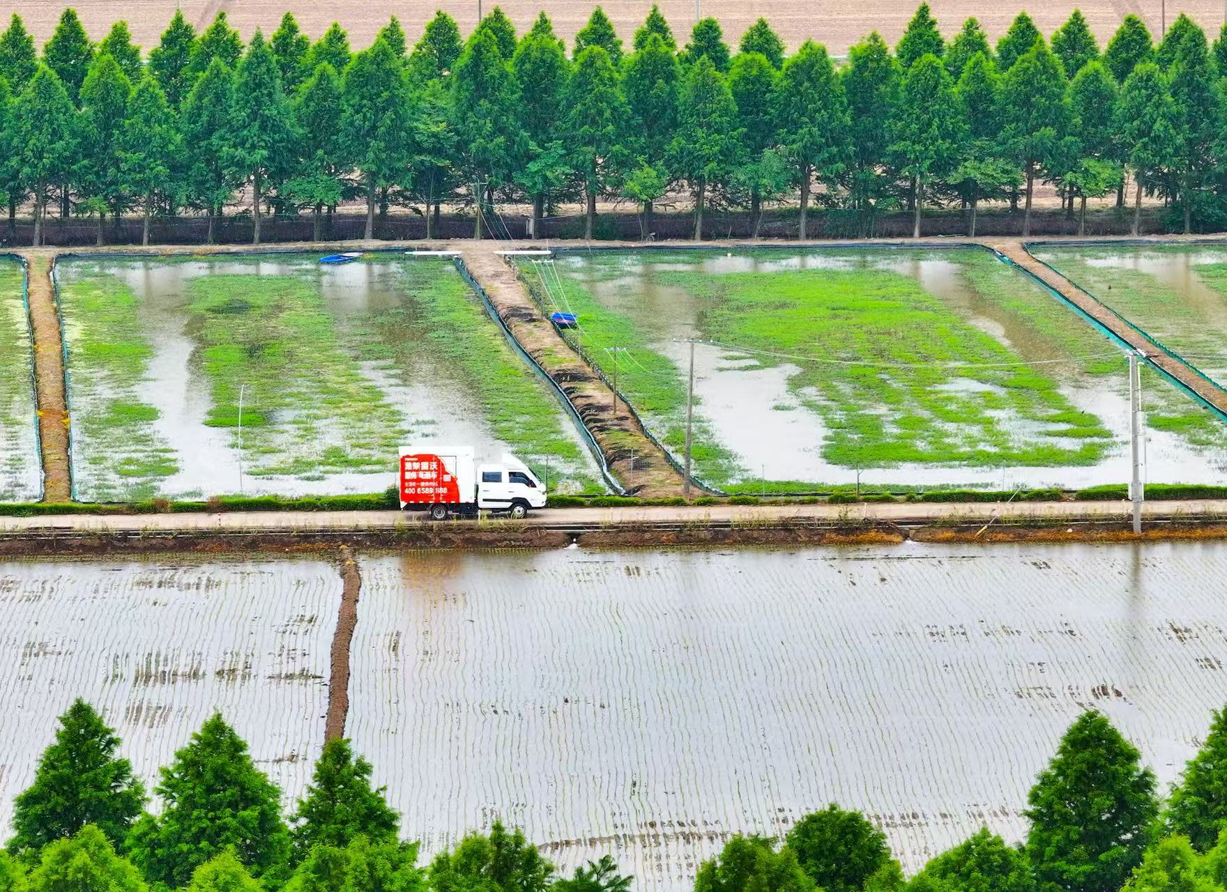 潍柴雷沃服务直通车