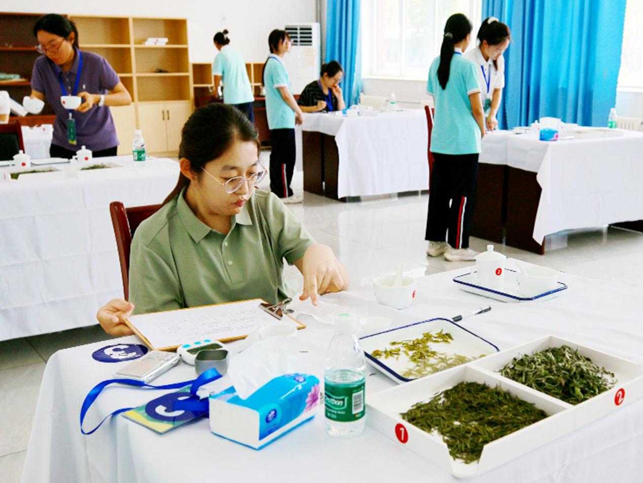 店主陳思參與茶道培訓