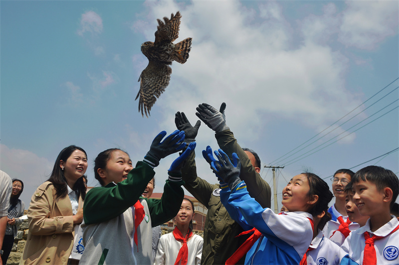 2026年5月21日，在山東省青島市舉辦的“紅領巾愛自然”生物多樣性科普教育活動上，野生動植物保護志願者與學生放歸救助的鷹鸮。