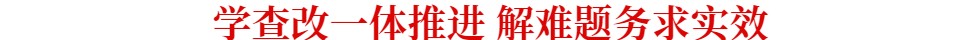 学查改一体推进 解难题务求实效