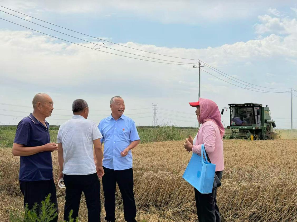 驻村书记与村民查看麦穗长势