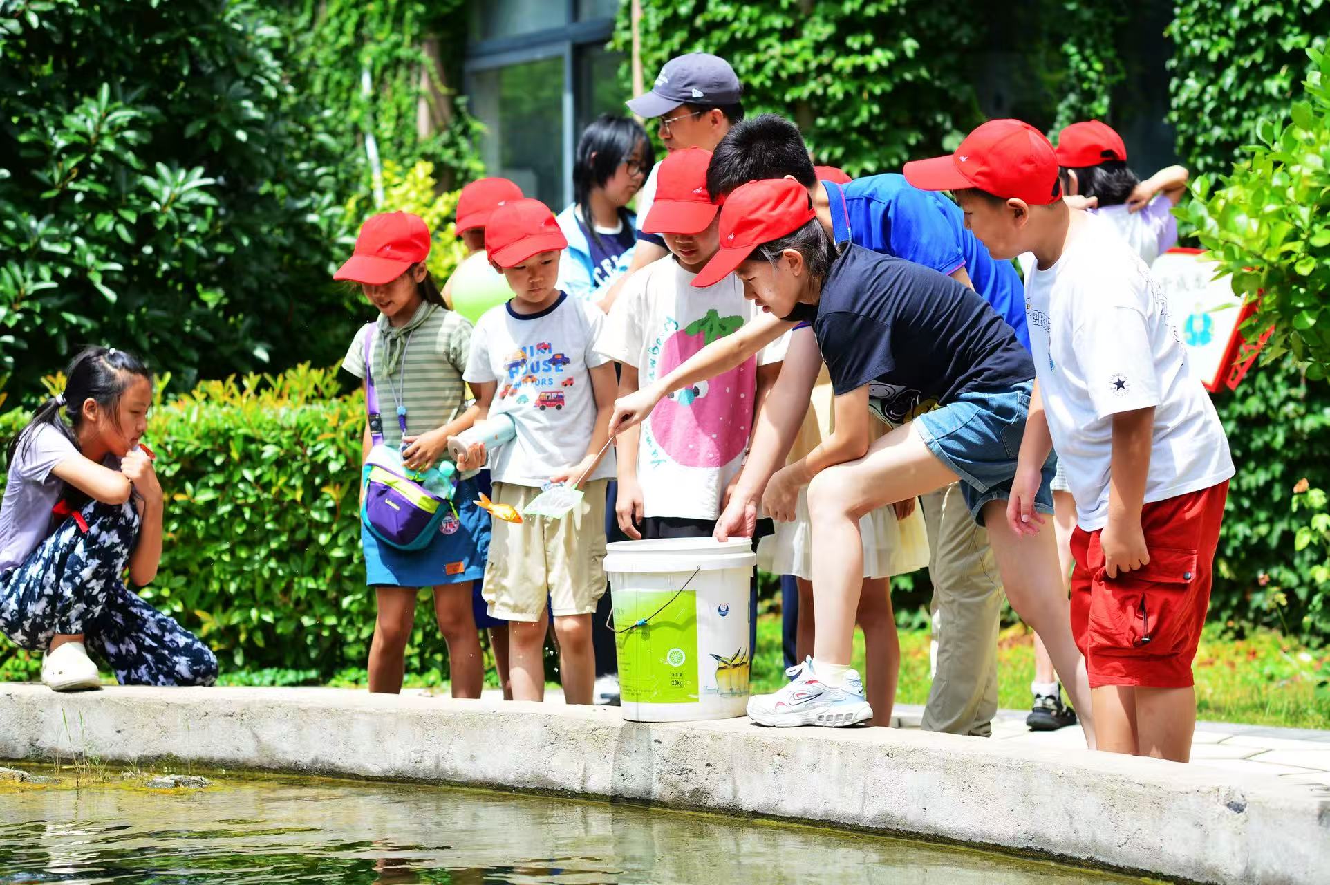 8月12日，在山東省青島市海泊河污水處理廠，團員青年志願者指導學生在再生水景觀池中放流金魚。
