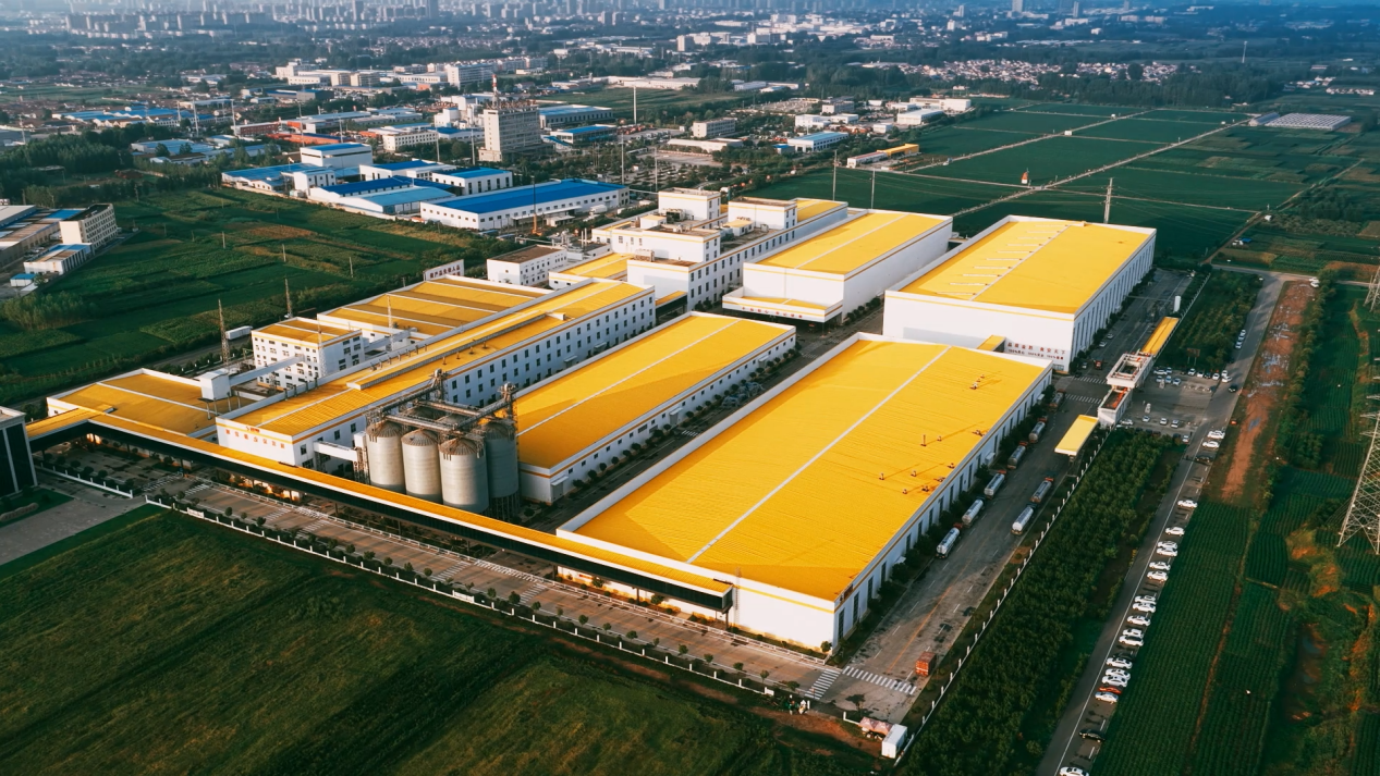 金胜粮油食品有限公司工厂全景。 受访者供图