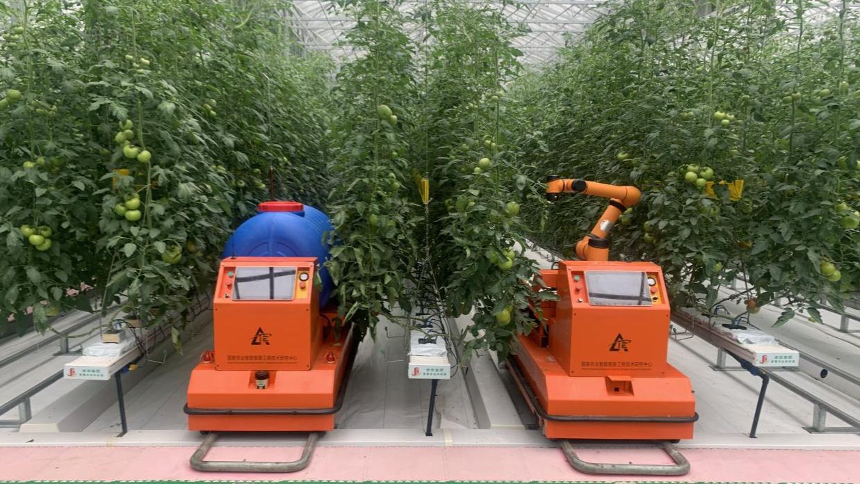 行进中国｜一桌好菜，为何总有寿光？