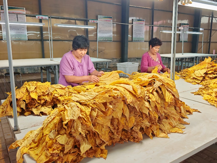 工场设立站外加工分级点，“一炉一策”进行分级