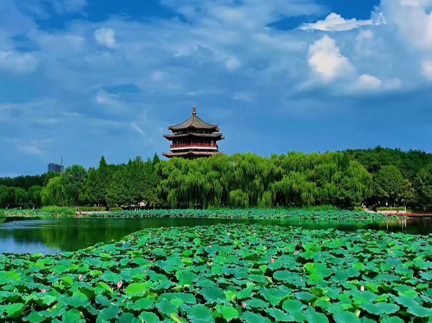 美麗鄉村：齊魯膏腴地 醉美桃花源