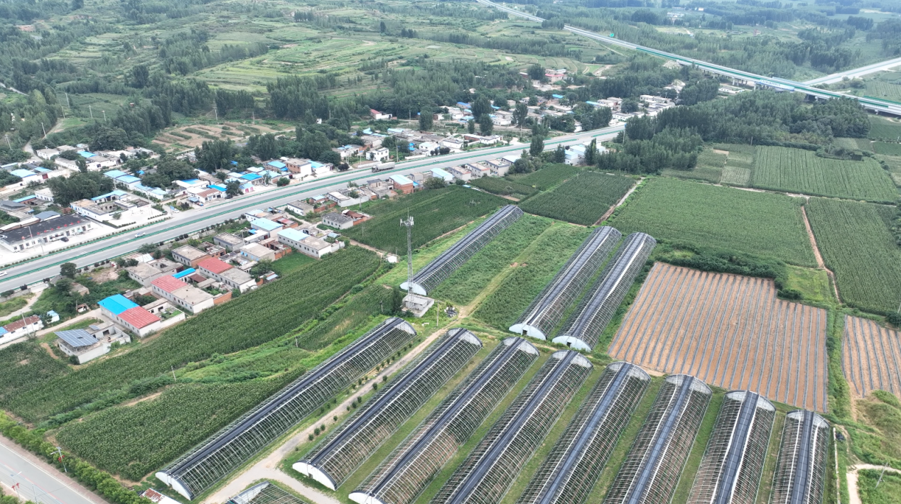 生態筑基產業賦能肥城探索鄉村綠色共富新路徑(图1)