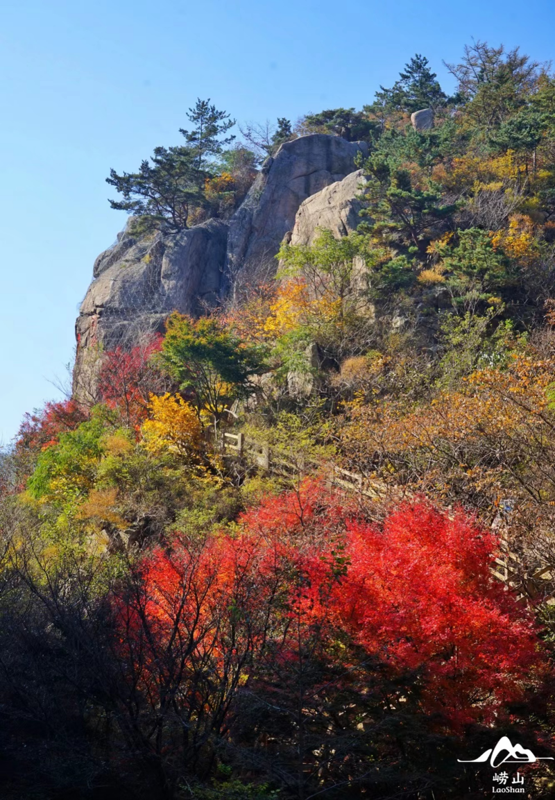 图片来源:青岛崂山风景名胜区微信公众号