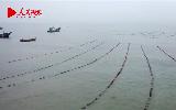 山东海阳：赋能海洋渔业“数字化” 推动渔业高质量发展