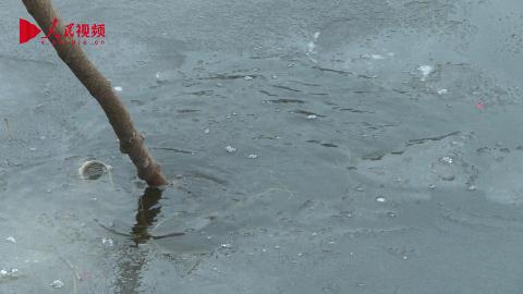 感動！山東菏澤71歲老人跳入冰水勇救落水兒童