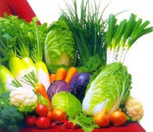 山东胶南蔬菜品牌专供收入2亿多 农超对接日售