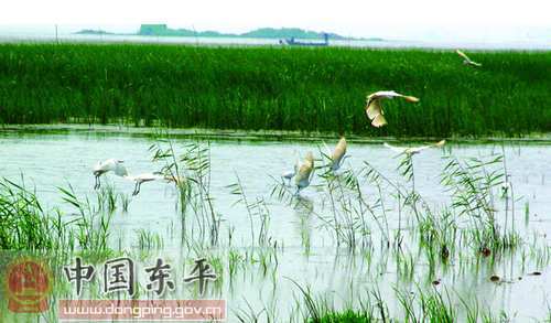 水浒传 水浒故里,唯美湿地—东平湖二日游2011年新景点儿