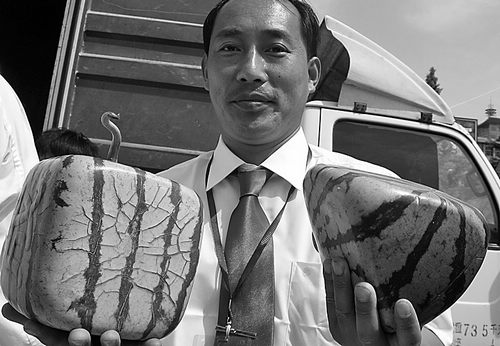 瞧瞧这三角形的西瓜,一个500元!再猜猜5块钱能