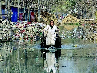 山东东平县多少人口_山东东平县李国玲