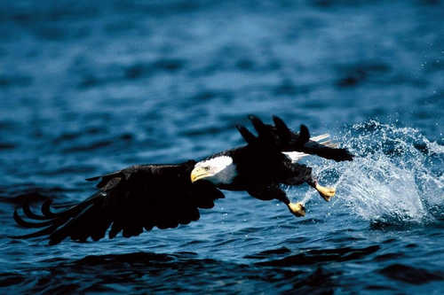 日照抢占海洋竞争制高点