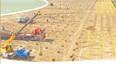 3月27日，在博興縣黃河淤背區內，工人們正在用大型機械種植白皮松、黃金槐和銀杏。(□記者姜斌報道)