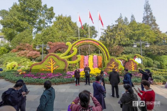 通过多品种多花色菊花体现盛世花开,以多彩的菊花盛宴献礼建党百年