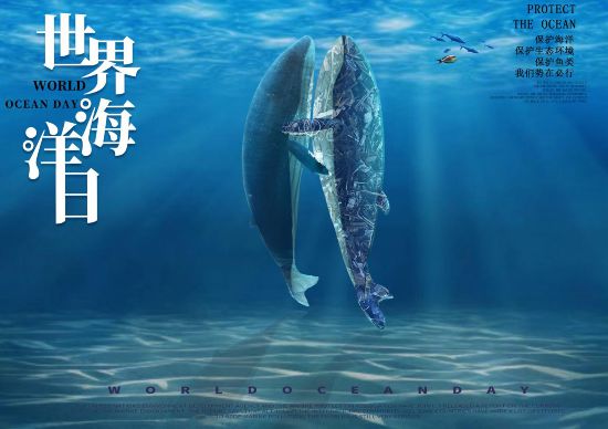 拥抱海洋