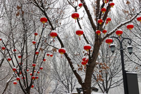 瑞雪兆豐年 泉城年味濃