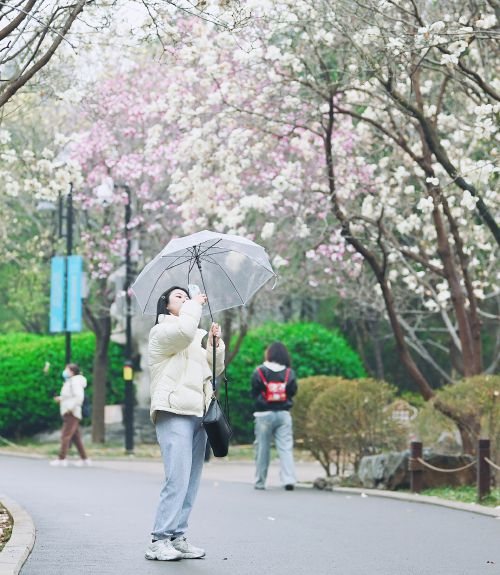 “泉”在濟南過五一︱公園景區繁花似錦 文化活動精彩呈現 濟南邀您樂享“花朝”