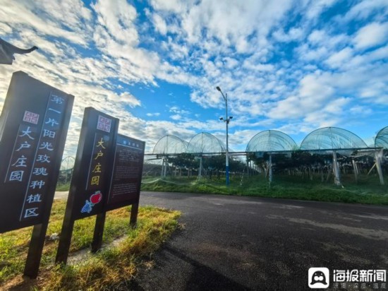 中国农民丰收节为啥选在山东这个小山村里办？(图3)