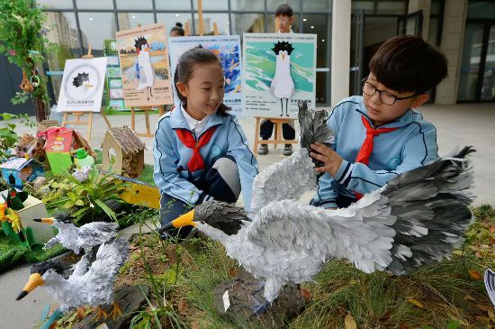 城阳区红岛中心小学的学生在摆放自制的中华凤头燕鸥标本模型
